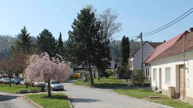 Řícmanice