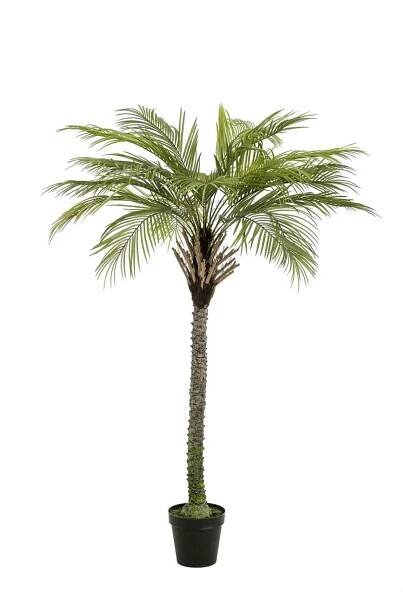 Umělá kokosová palma BOLON, 180cm