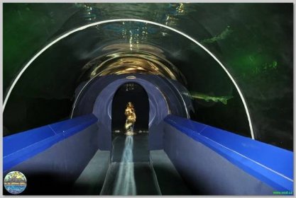 Anapa Tunnel Oceanarium