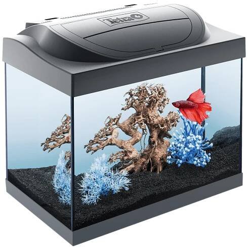 Akvarijní sety Akvárium set Tetra Starter Line LED 30l Goldfish MK | Super zoo