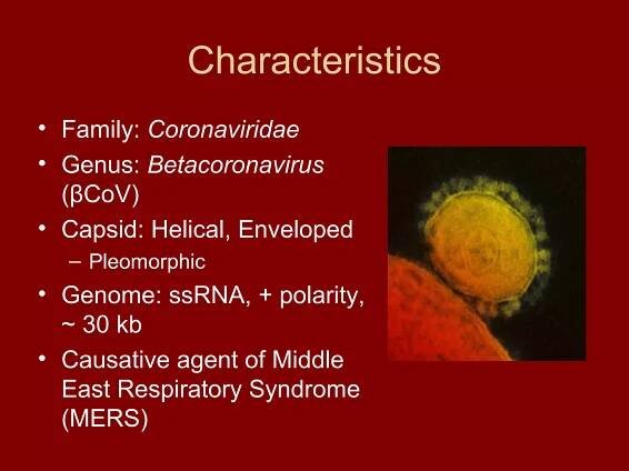 Characteristics
• Family: Coronaviridae
• Genus: Betacoronavirus
(βCoV)
• Capsid: Helical, Enveloped
– Pleomorphic
• Genome: ssRNA, + polarity,
~ 30 kb
• Causative agent of Middle
East Respiratory Syndrome
(MERS)
 
