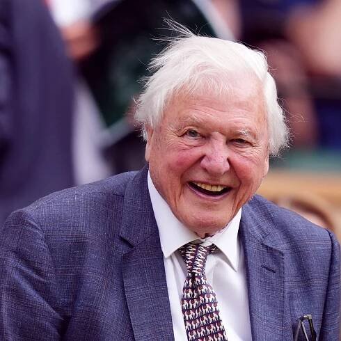 Sir David Attenborough and David Beckham among stars at Wimbledon