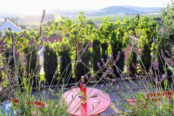 Apartmá Za kopcem, Chrudichromy - Ubytování | Penzion.cz