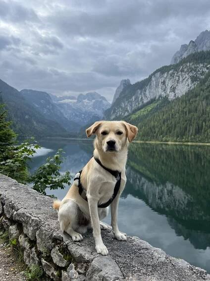 Gosausee - AdventureLovers.cz