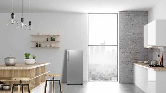 Single Door Refrigerators RF149DLE0 - TCL Europe