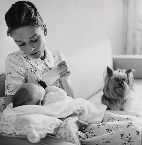 Audrey Hepburn feeding her newborn son, Sean Hepburn Ferrer, with Mr. Famous (Audrey’s Yorkshire terrier) supervising the new mother. Photo by Richard Avedon, 1960.