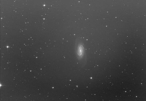 NGC 2903