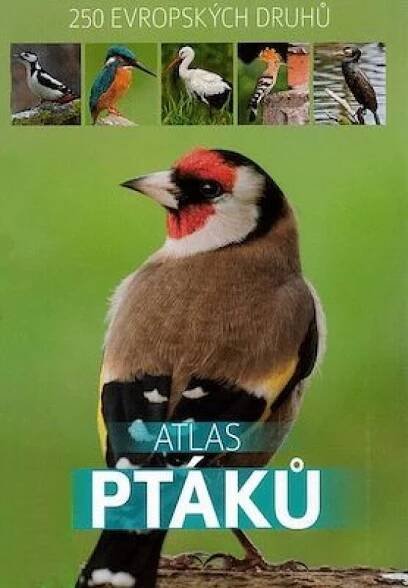 Atlas ptáků