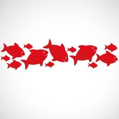 Plakát poisson rouge