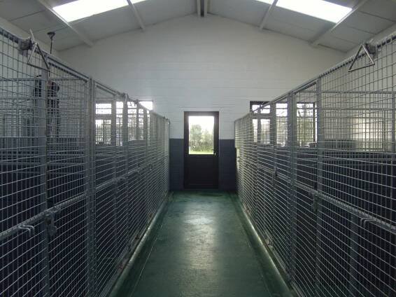 Boarding Kennels | Waggly Tails