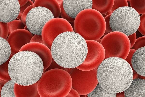 Anemia Test in Dubai - Vesta Care
