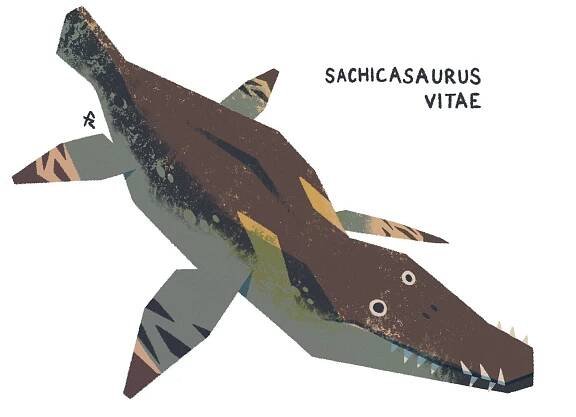New species 2019 - Francisco Riolobos- Illustration and Design