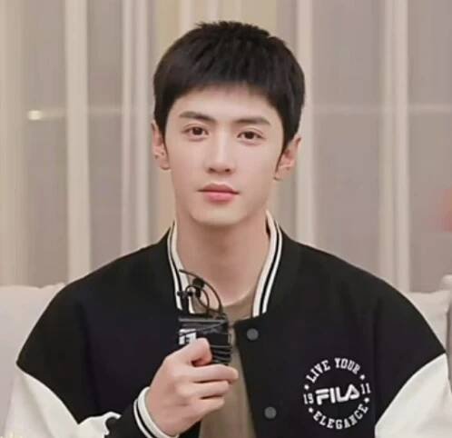 Chen Zheyuan - Wikipedia