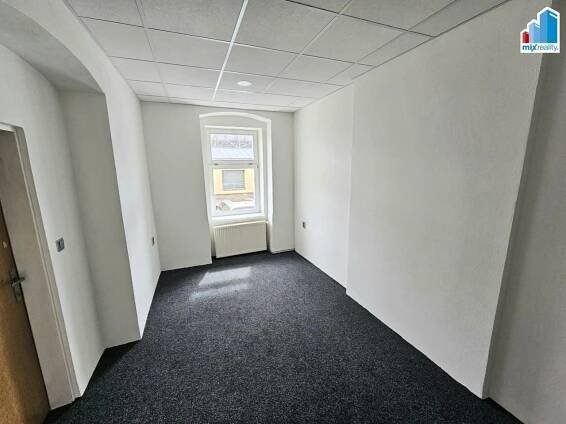 Pronájem obchodního prostoru 81 m², Wenzigova, Plzeň - Východní Předměstí