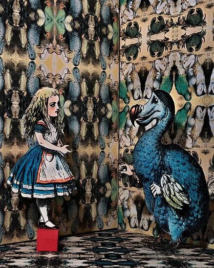 Alice in Wonderland — Abelardo Morell