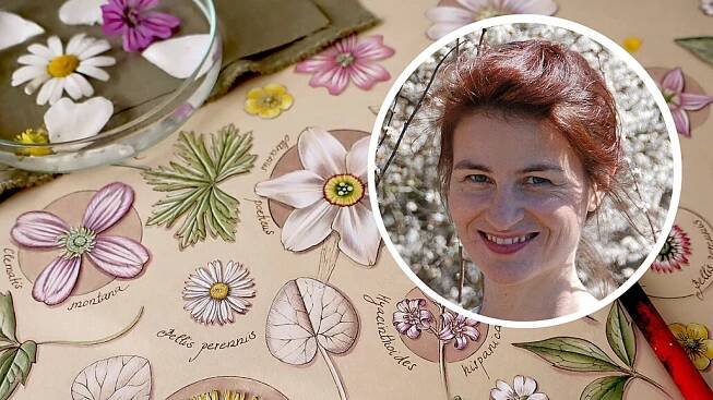 Botanická malířka Pavlína Kourková