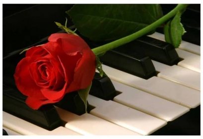 Obraz klavíru a růže