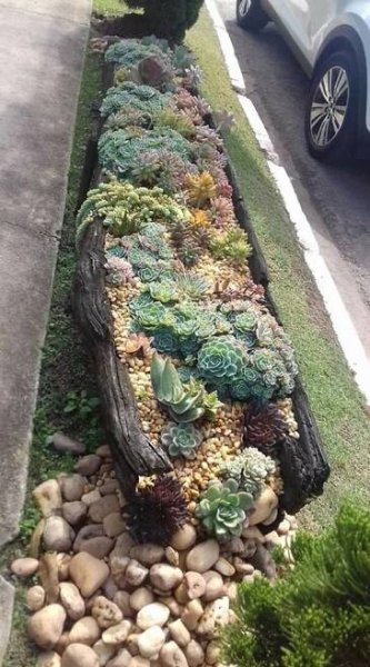 Pin by Rosimeire Marson on Suculentas | Succulent garden design, Succulent landscape design, Outdoor gardens