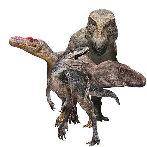 New dinosaur species related to T. Rex discovered - ABC News