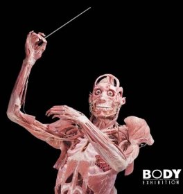 Odhalte tajemství lidského těla na výstavě Body the Exhibition