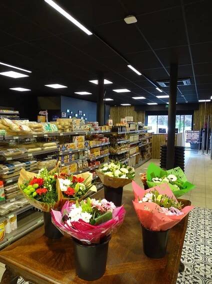 Alvo – Balegem | Euro-Luce