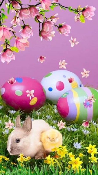 Cute Easter Bunny with Eggs and Flowers