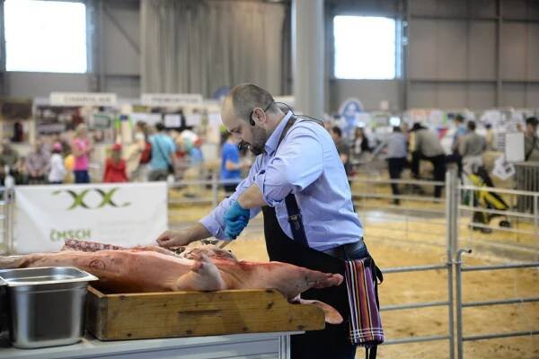 František Kšána předvede zpracování masa i v neděli - ANIMAL TECH - Veletrhy Brno