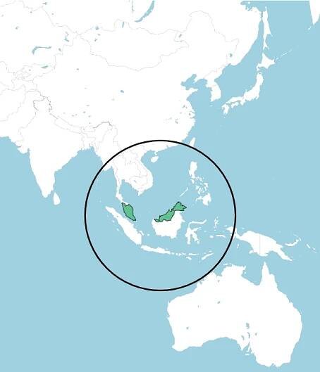 Malaysia – Combating Lung Cancer in the Asia Pacific Region