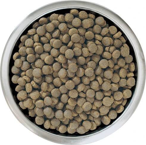Pro Plan Large Puppy Robust Healthy Start granule pro štěňata kuře 12 kg