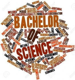 Bachelor of Science and BSc Honours