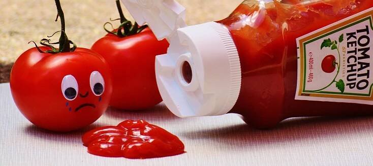 Domácí Kečup Bez Jablek: Snadný Recept » Bio-Natural.cz