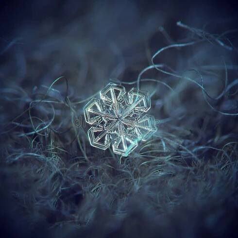 Real snowflake glittering on smooth gradient background royalty free stock photography