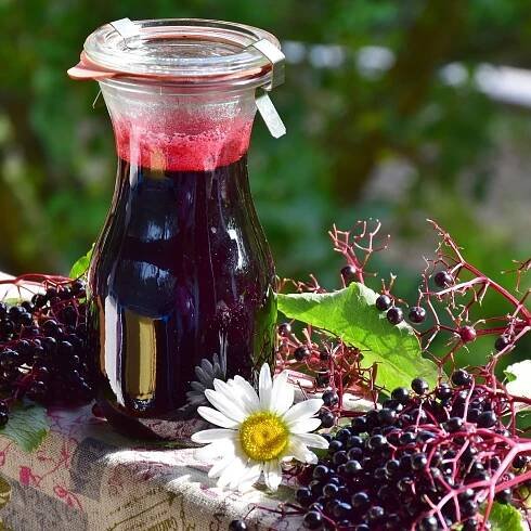 Bezinkový sirup | Černý bez