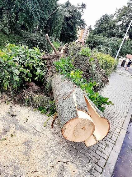 Luhačovicemi se ve čtvrtek prohnalo tornádo. nemělo takovou intenzitu jako na jižní Moravě, ale i zde způsobilo spoušť.