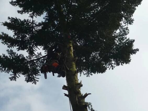 Výškové práce Roštík foto 2