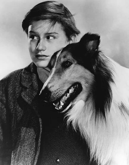 Lassie se vrací - Promo - Roddy McDowall, Pal