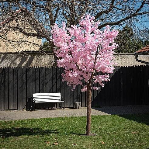 Sakura, 300x200 cm, růžové květy