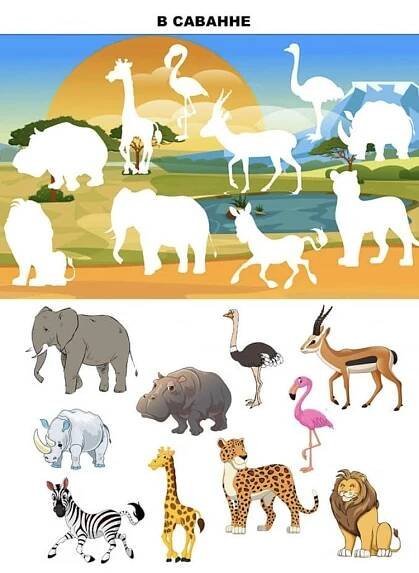 Pin by Elena Antociuc on Pentru Daniel | Animal activities, Preschool activities toddler, Animal activities for kids