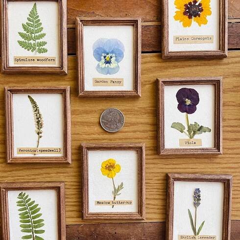 Tiny Herbarium Wood Framed Art 2"x3"