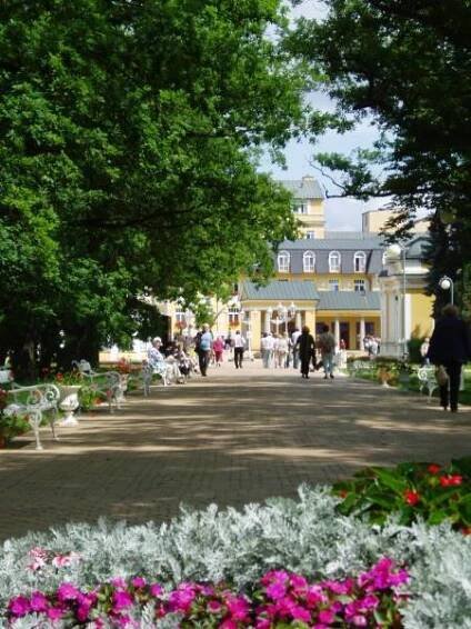 Goethe Spa & Medical Hotel - Františkovy Lázně | Lázně Travel