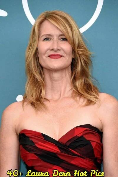 Laura Dern Hot Pics