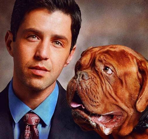 How Many French Mastiffs Does It Take to Film Turner & Hooch?