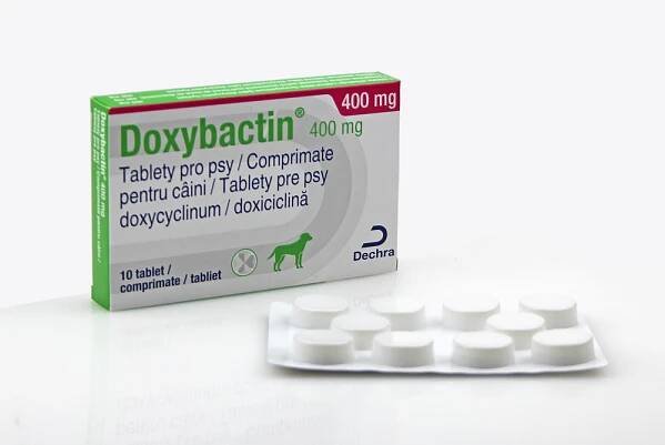 DOXYBACTIN 400 mg tablety pro psy – Sevaron