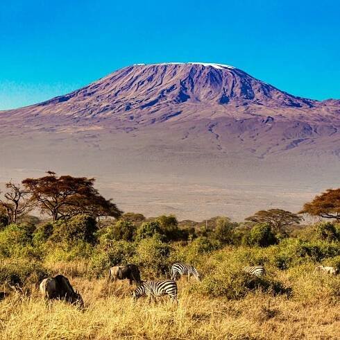 Kilimandžáro (+ Mount Kenya) | expeditionclub.cz