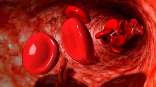 cervene-krvinky