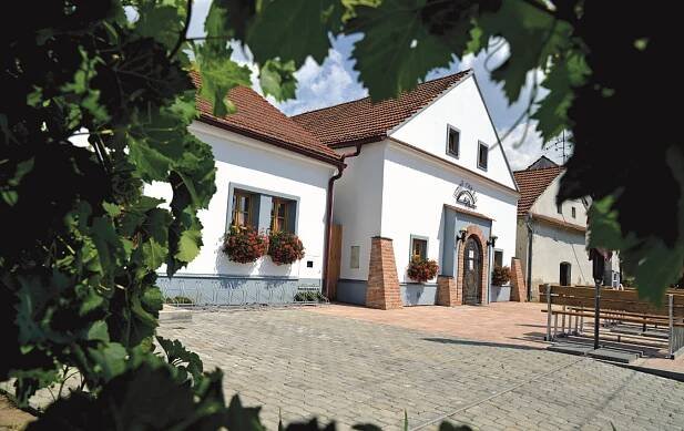 WINE & Degustation: Rakvice