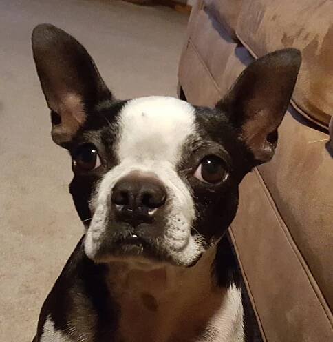 Gracie - Southwest Geophysical Consulting, LLC