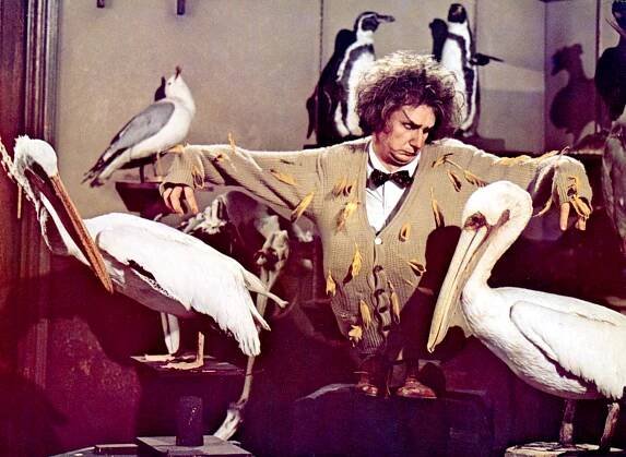 BREWSTER MCCLOUD, Rene Auberjonois, 1970