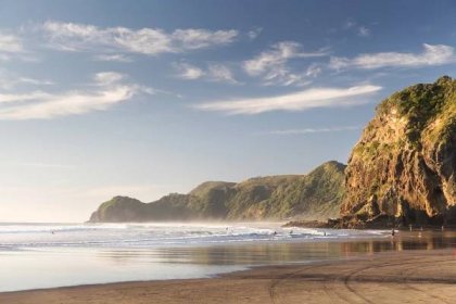 Enormous, Freaky-Looking Sea Creature Discovered On A Beach In New Zealand