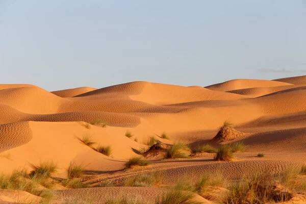 Sahara
